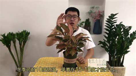 如意皇后风水